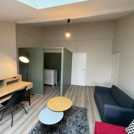 Апартаменты Nid Douillet Sous Les Toits - Calme Et Cosy Сент-Этьен